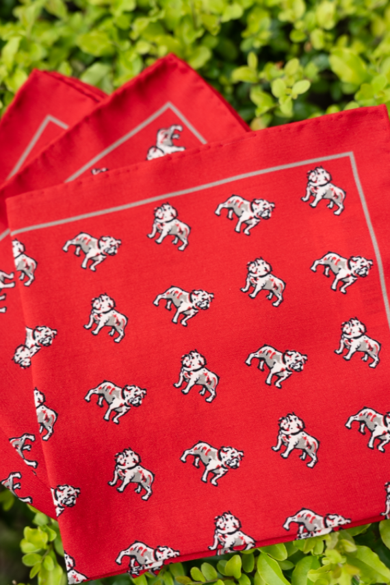 Dawgs Pocket Square