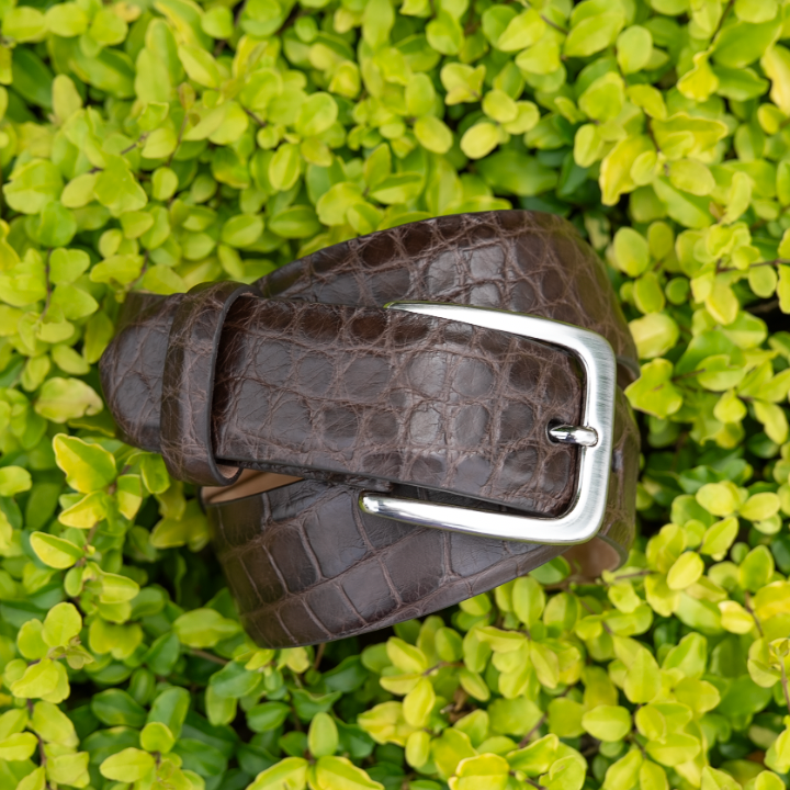 Matte Alligator Belt