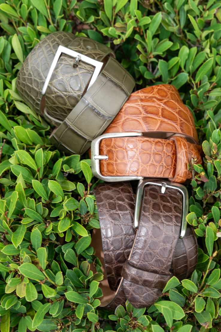 Matte Alligator Belt