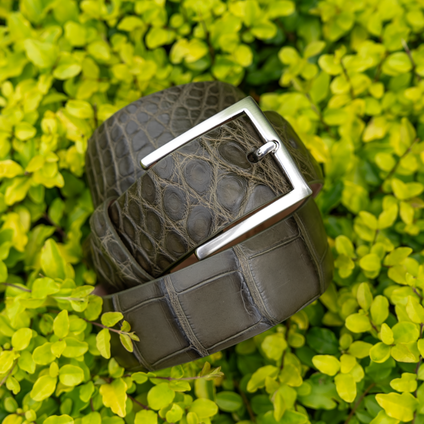 Matte Alligator Belt
