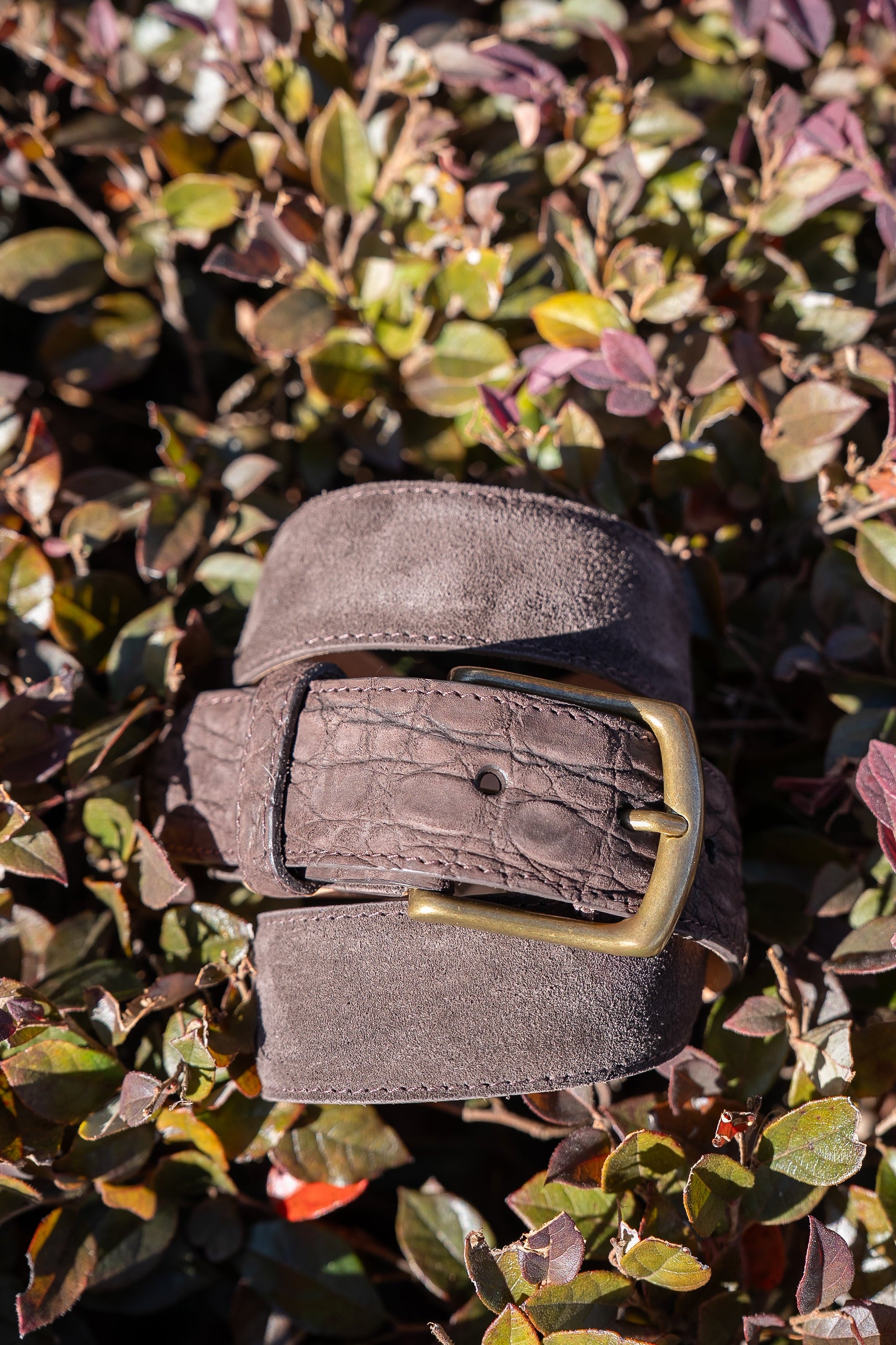 Espresso Suede Belt with Sueded Croc Tabs