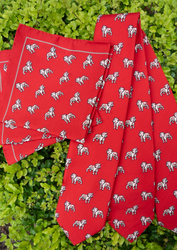 Dawgs Pocket Square