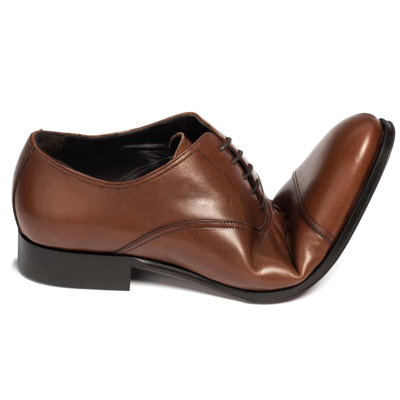 Duplicate of TOBO/BRANDONII