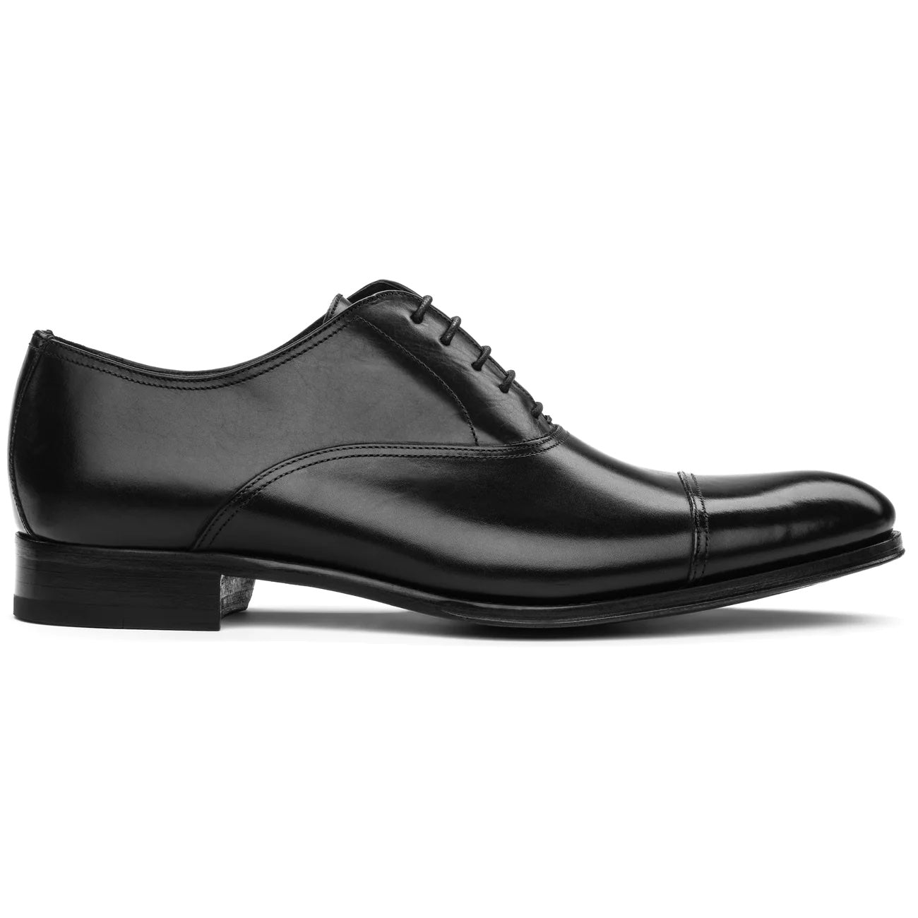 Duplicate of TOBO/BRANDONII