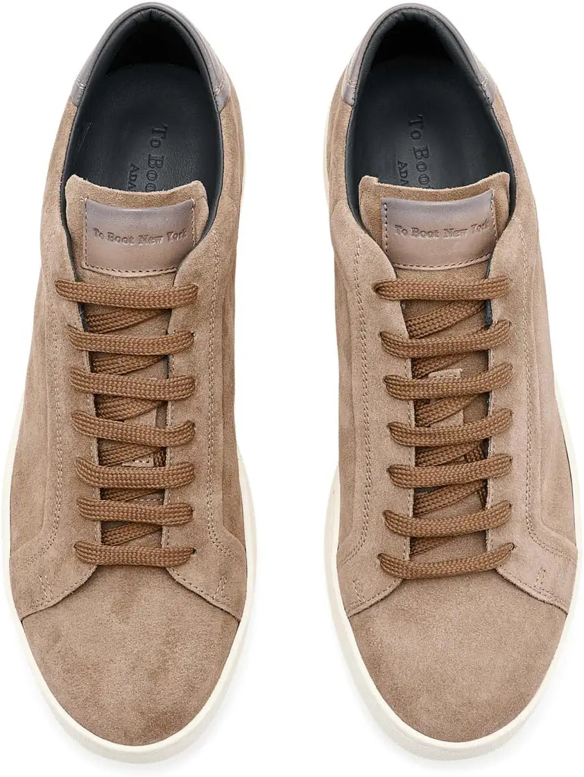 Monterey Sneakers in Antilope