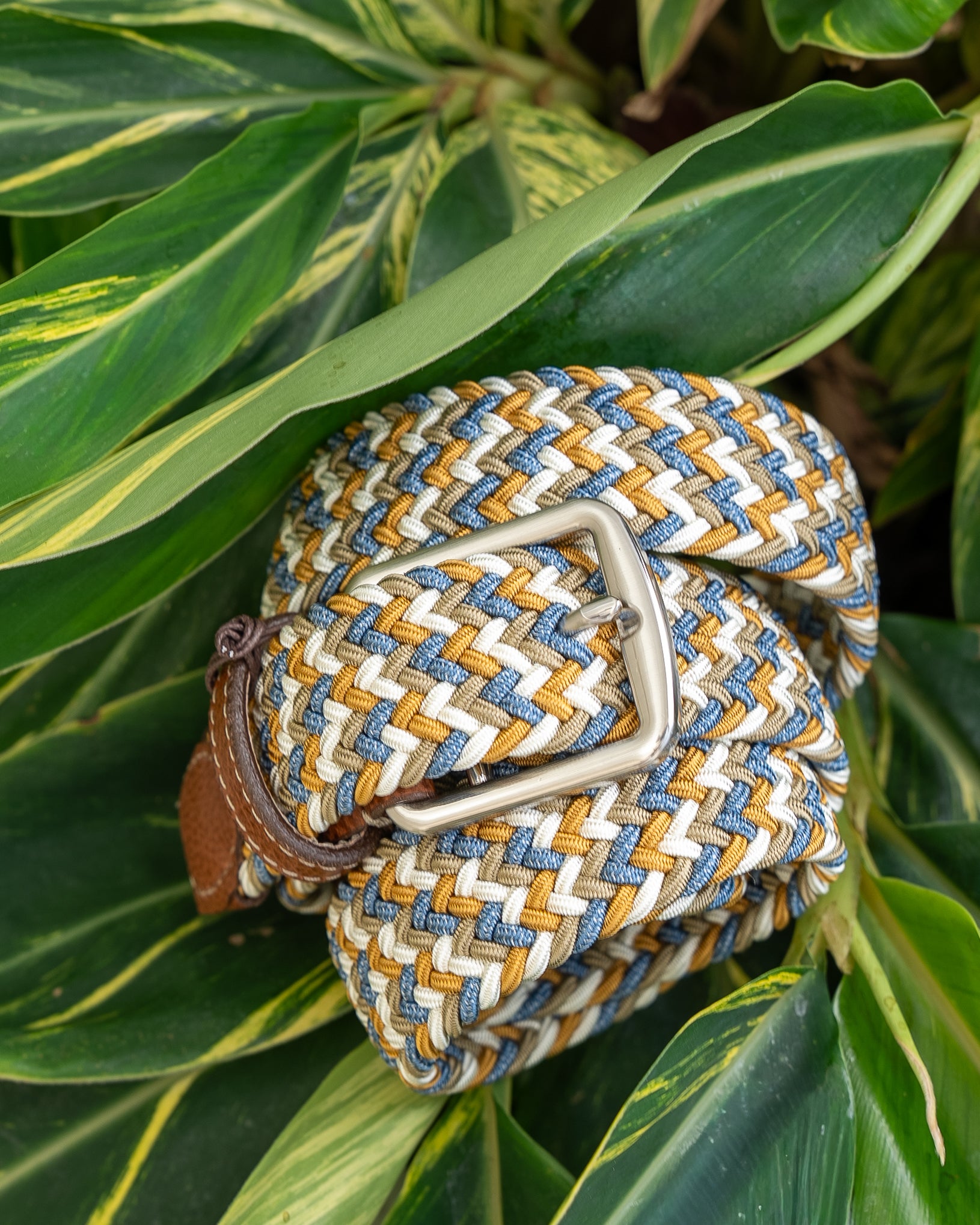 Newport Woven Italian Rayon Belt in Pina Colada Multi